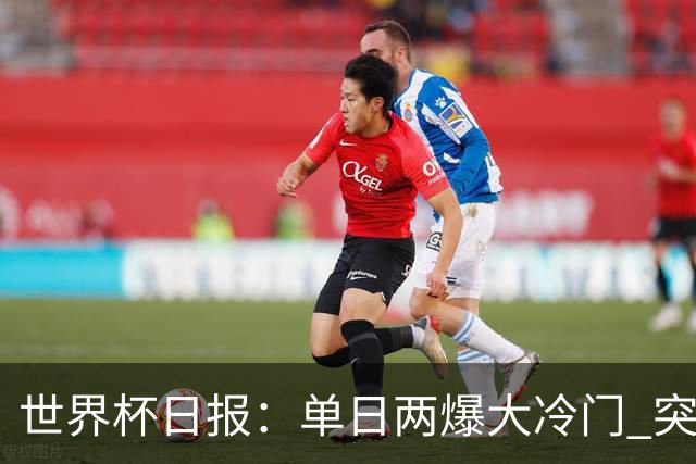 世界杯日报：单日两爆大冷门 突尼斯惨败后现换帅疑云