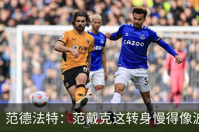范德法特：范戴克这转身慢得像波音747，这可不是什么好事